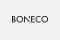 Купити товари бренду BONECO з доставкою додому в медмагазині Ортоп