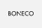 Купити товари бренду BONECO з доставкою додому в медмагазині Ортоп