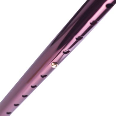 Телескопічна палиця «Nova» з Т-подібною ручкою і ременем (колір – бронза, висота – 76-99 см, максимальне навантаження – 120 кг)