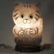 Купити Соляна лампа Кіт 2 - 2,5 кг з доставкою додому в інтернет-магазині ортопедичних товарів і медтехніки Ортоп
