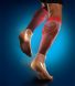 Купити Компресійні спортивні гетри Venoflex з доставкою додому в інтернет-магазині ортопедичних товарів і медтехніки Ортоп